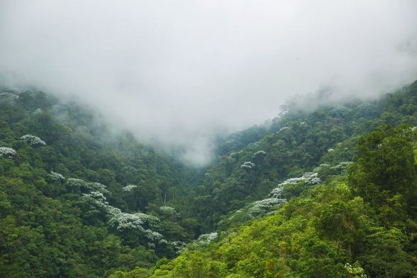 Trekking Cordillera Central y Cascadas 5