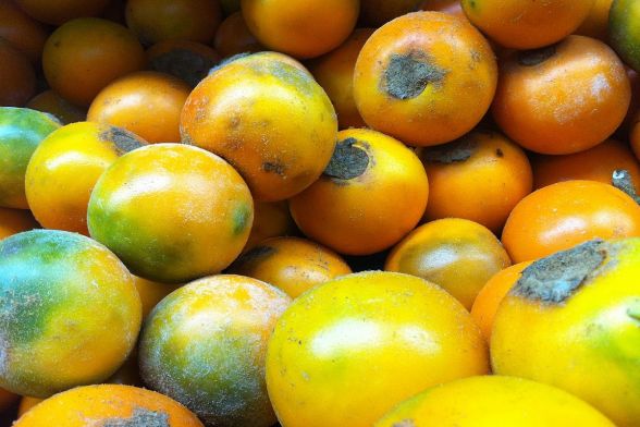 Frutas y comidas típicas locales 4