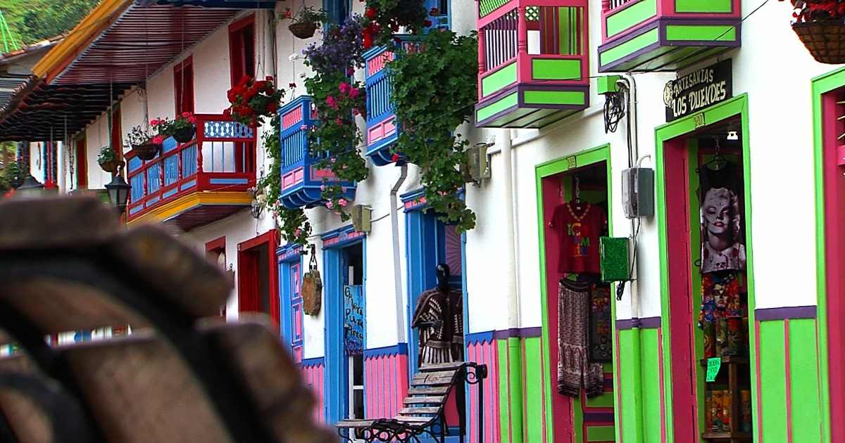 SALENTO, CÓCORA Y FILANDIA