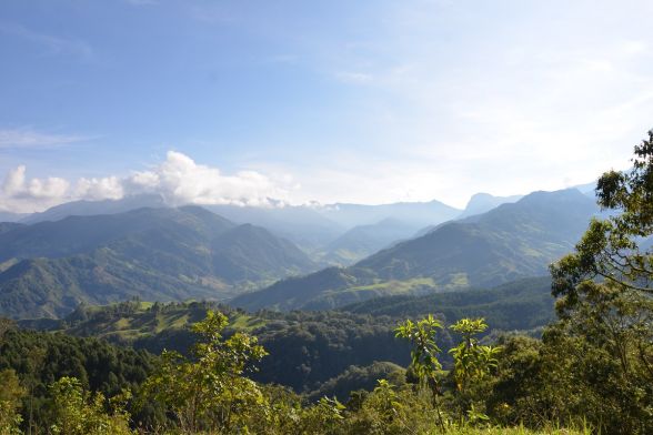 Pueblos de la Cordillera Paisajes y Cafè 5