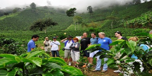 Recorrido por la Historia - Coffee Tour