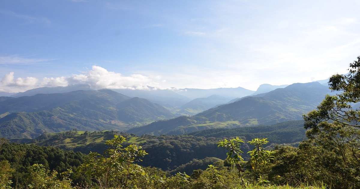 Entre Bosques y Montañas 6