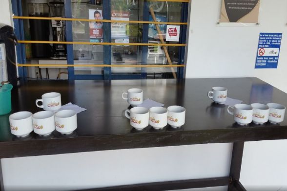 Coffee Tour La Morelia 4