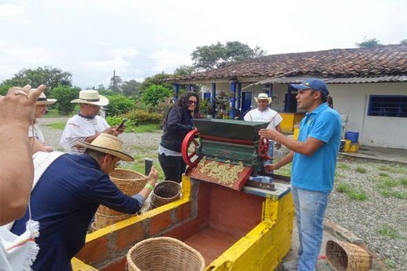 Tour Mundo de la Finca Cafetera 5