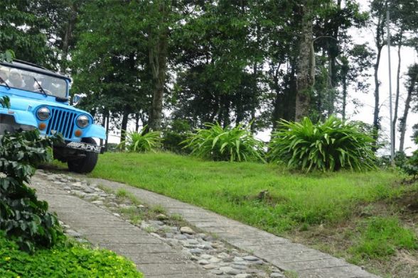 Tour Mundo de la Finca Cafetera 6