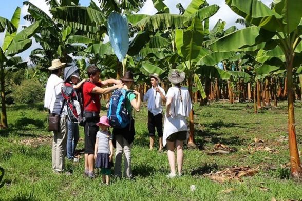 Tour Mundo de la Finca Cafetera 7