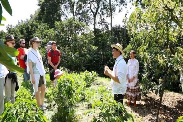 Tour Mundo de la Finca Cafetera 8