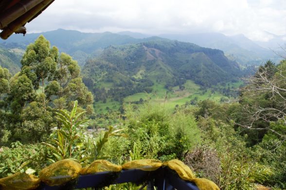 Trekking Salento, Cocora y Boquia 6