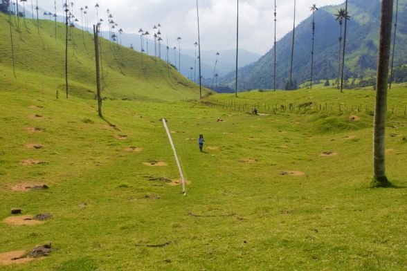 Trekking Salento, Cocora y Boquia 7