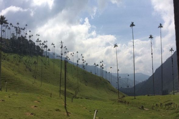 Trekking Salento, Cocora y Boquia 8