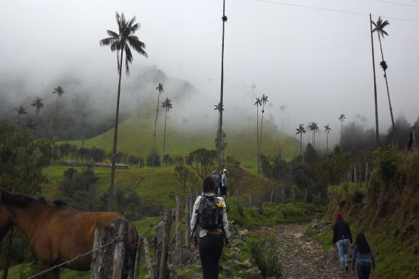 Trekking Salento, Cocora y Boquia 10