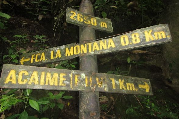 Trekking Salento, Cocora y Boquia 11