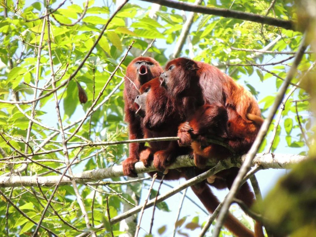 RECORRIDO SANTUARIO OTÚN QUIMBAYA