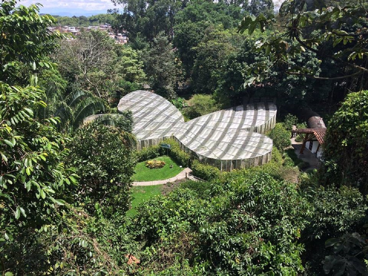 Botanic Garden and Butterfly Reserve 2