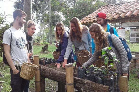 Coffee tour, Finca el Ocaso - Salento 10