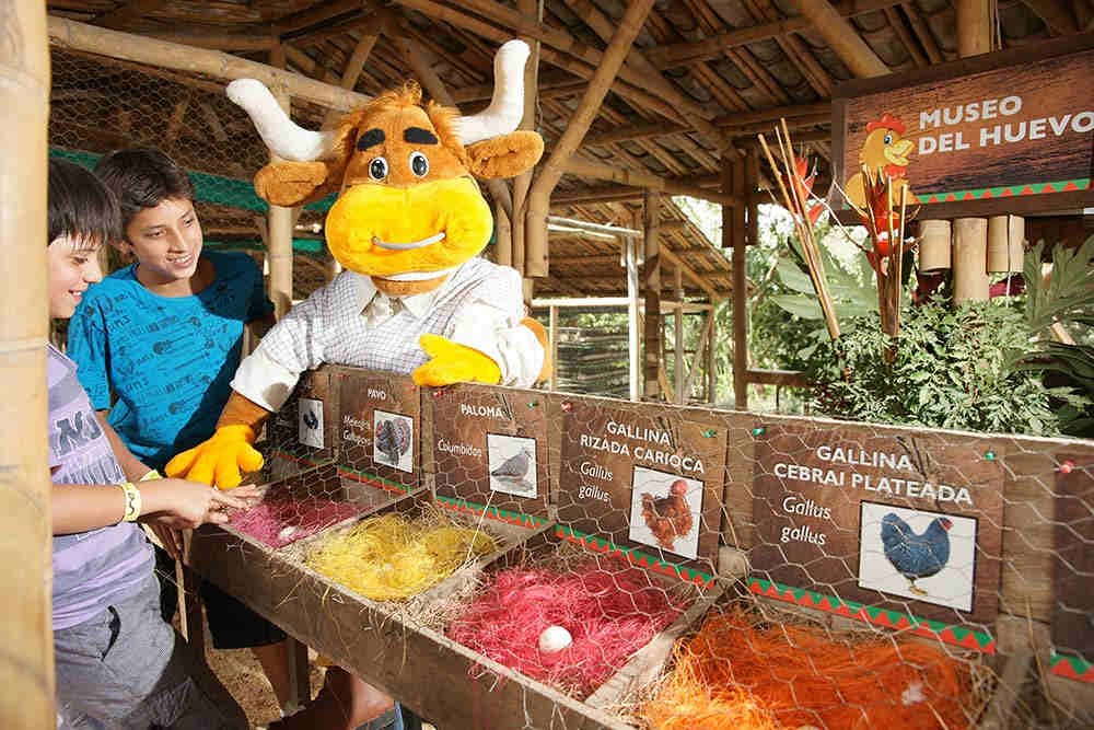 PARQUES TEMATICOS  UNA EXPERIENCIA CAFETERA 2