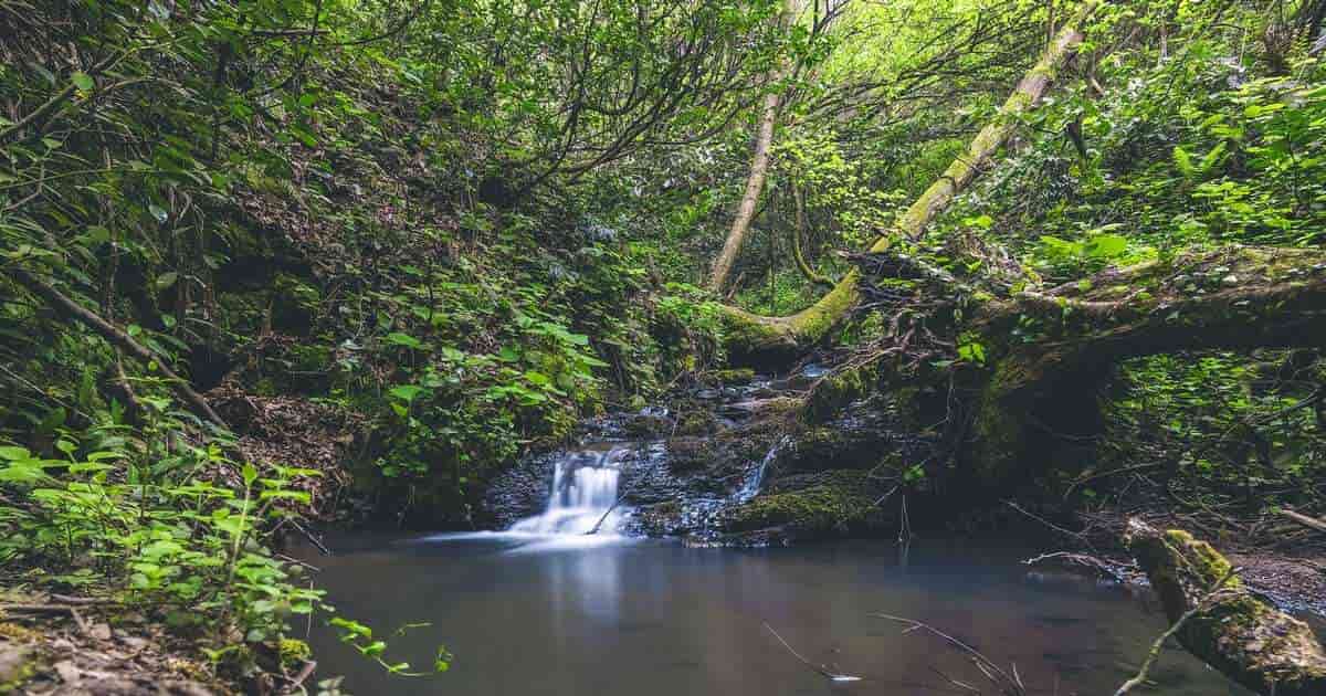 Rio Tundó