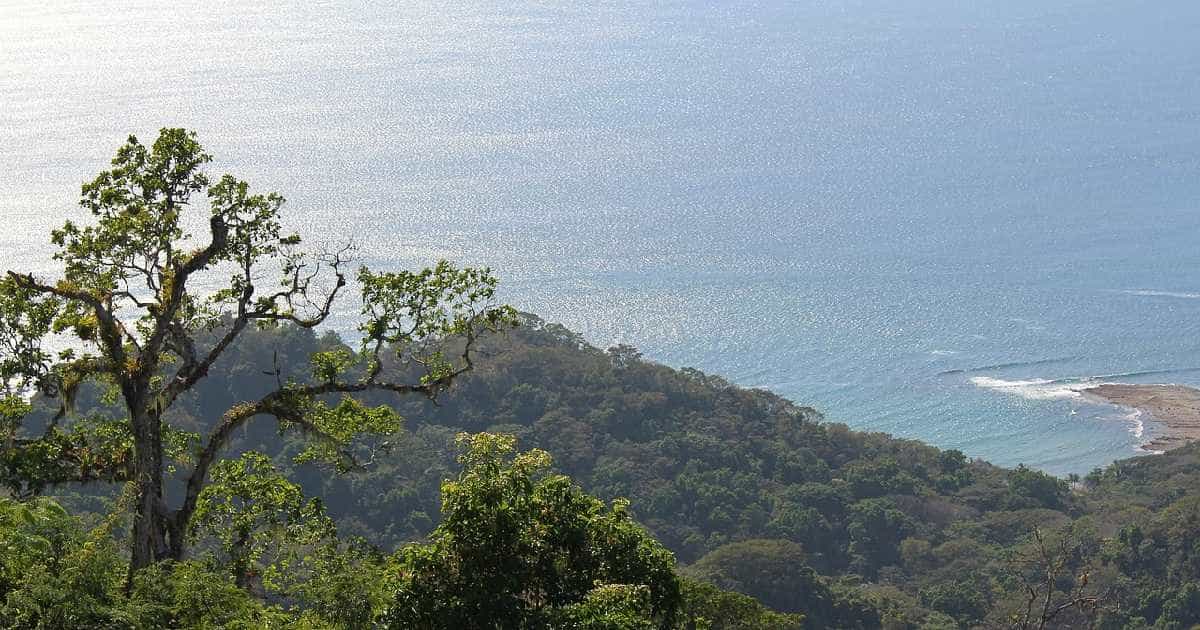 Capurgana